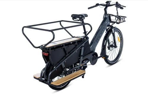 Bicicleta eléctrica E-LONGTAIL