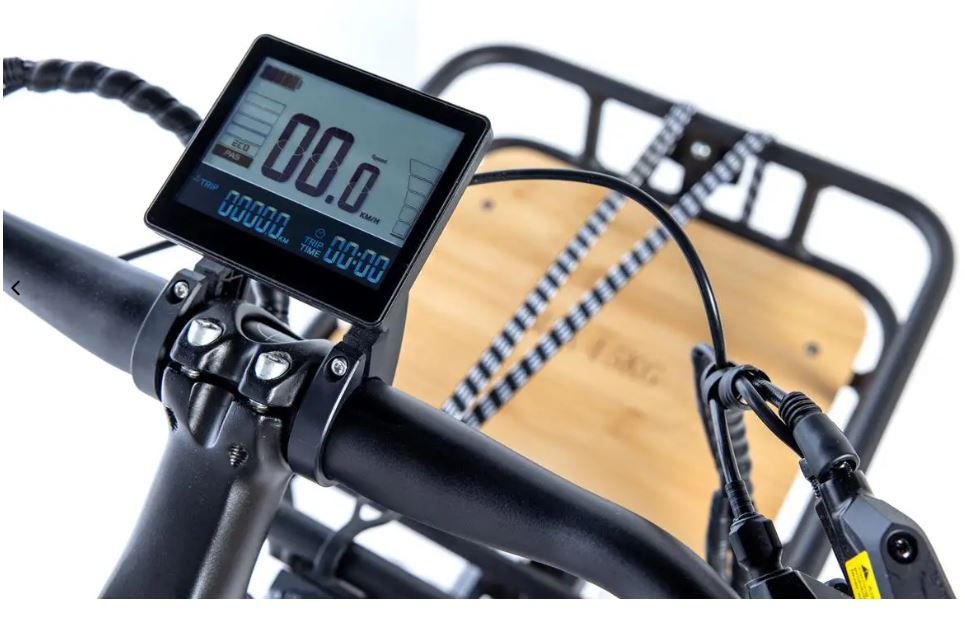 Bicicleta eléctrica E-LONGTAIL