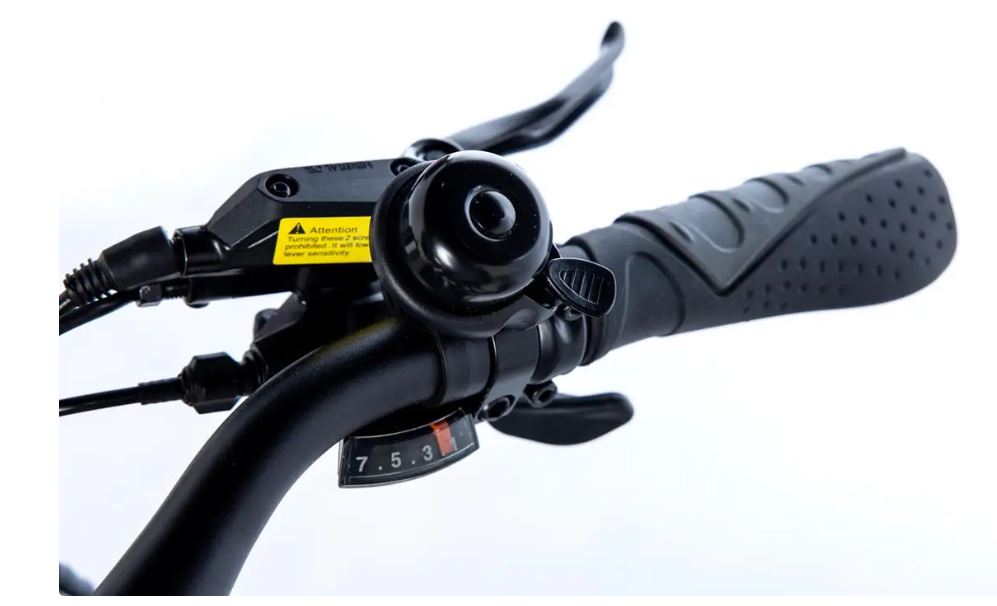 Bicicleta eléctrica E-LONGTAIL