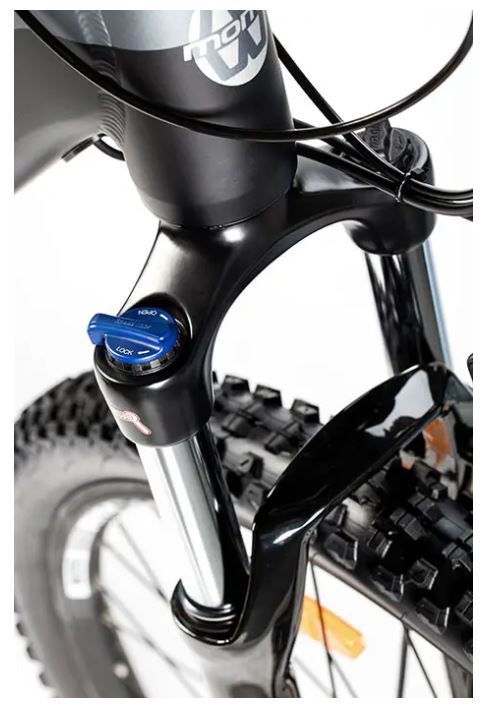Bicicleta Eléctrica E-MTB 29" | Motor 250W | Autonomía 120 km